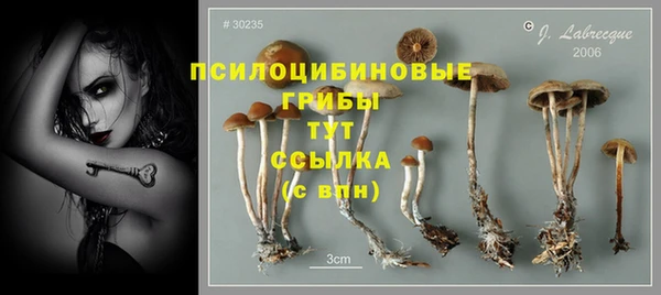 наркотики Каменногорск