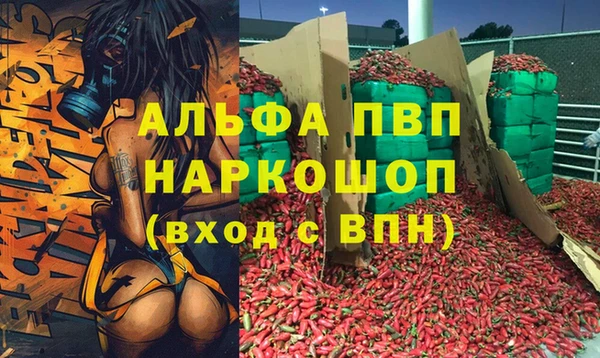 стафф Каменка