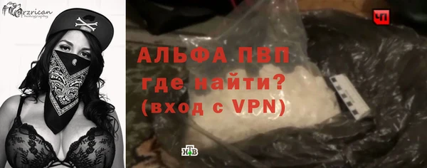 стафф Каменка
