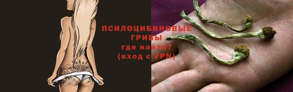 стафф Каменка