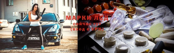 стафф Каменка