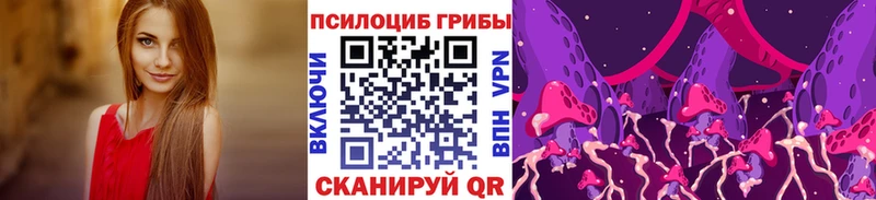 kraken зеркало  Лакинск  Псилоцибиновые грибы мухоморы 